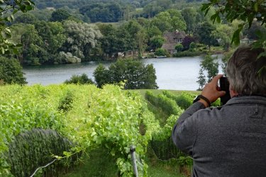 Bild-17.jpg