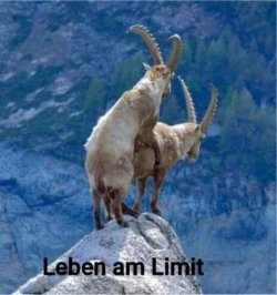 log52luionmraud.jpg