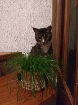 0_IMG_20200826_225921.jpg