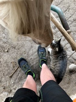 Kater.jpg