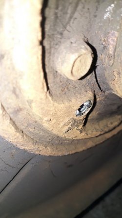 20200811_170036.jpg