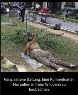 1598865506203.png
