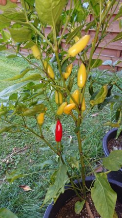 _20200831_200339.JPG _20200831_200339.JPG