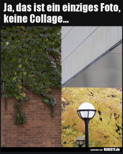 1598911124734.png