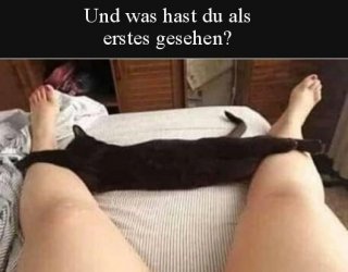 tUnbenannt - Kopie.JPG