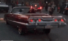 ezgif.com-crop.gif