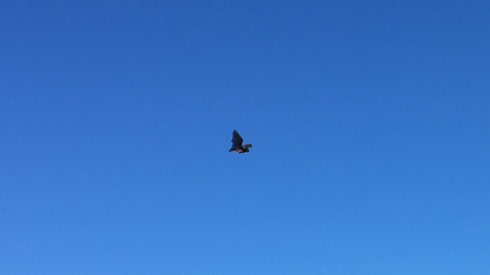 30889E35-A7F9-4E6B-AE4D-095E921324BA.png