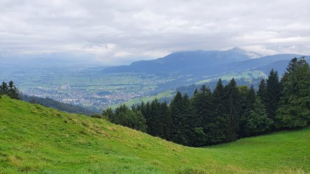 20200906_191736.jpg