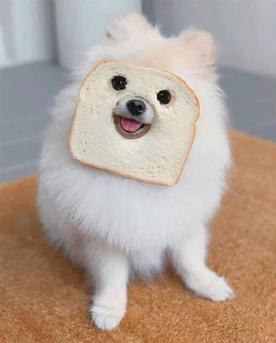 1599550942110.png