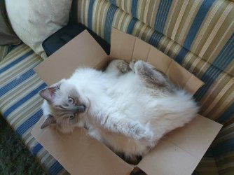 20200909_074256klein.jpg