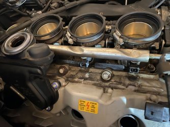 IMG_0113_1.JPG IMG_0113_1.JPG