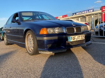 IMG_0375_1.JPG IMG_0375_1.JPG