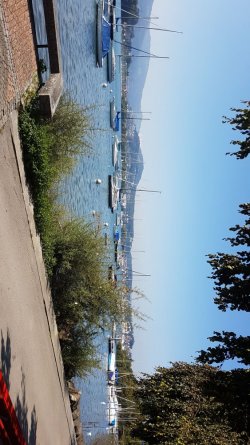 IMG-20200914-WA0000.jpeg