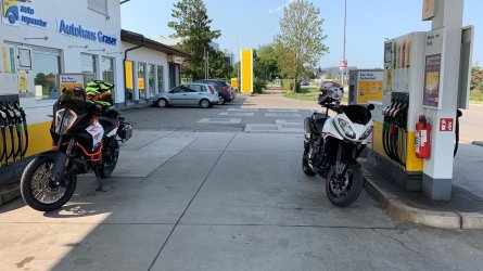 Tiger1.jpg Tiger1.jpg