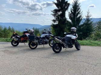 tiger2.jpg tiger2.jpg