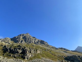 IMG_0982.jpg