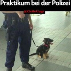praktikum polizei.jpg