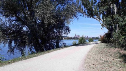 20200722_klein1.jpg