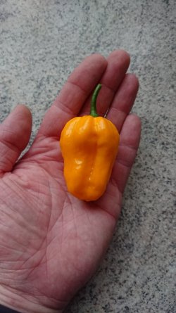 _20200921_194114.JPG _20200921_194114.JPG