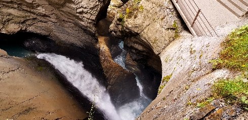 20200924_102624_copy_490x238.jpg
