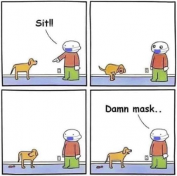 1600987109097.png