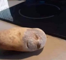 1Unbenannt - Kopie.JPG
