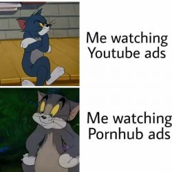 vfu37o69h9x1fdo.jpg
