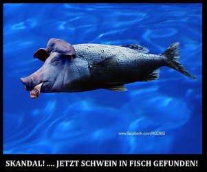 DE9A8A65-1B6B-418E-8CF6-93ED14B2F57D.jpeg