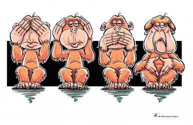 publikumsliebling-2015-riemann.jpg