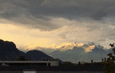 11D54774-59DF-4076-BA01-0C22D5CFB032.jpeg