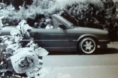 Rose und e30 schmalz SW.jpg