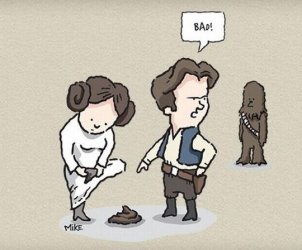 1Unbenannt - Kopie.JPG