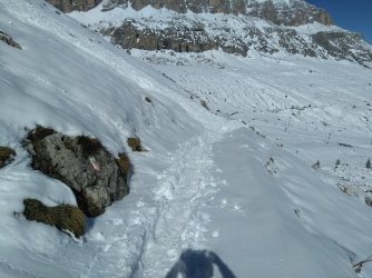 IMG_20201014_133526.jpg