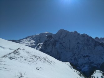 IMG_20201014_122115.jpg