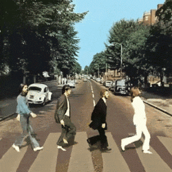 8B729940-6BD1-4E3E-85A8-876DBE098EE4.gif