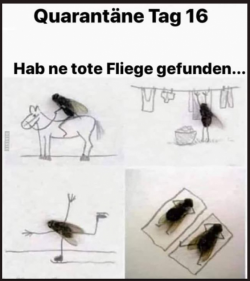 1603348956437.png