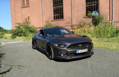 9C120277-ABB8-4E5C-A974-66A2D3AC0AF5.jpeg