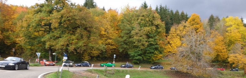 20201024_130835_sm.jpg