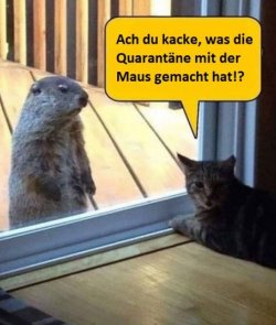 tUnbenannt - Kopie.JPG