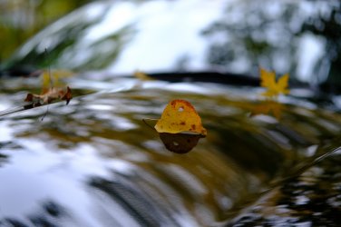Z4_Herbst_02.JPG