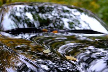 Z4_Herbst_04.JPG