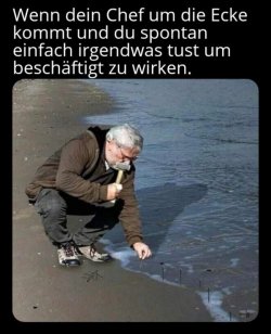 951DB829-9776-485A-AA7D-F87F7EE67B2C.jpeg