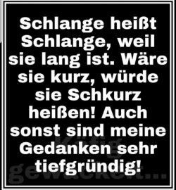 6FA91672-40A6-4D14-86D7-F7D773FC24AC.jpeg