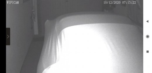 Screenshot_2020-11-02-00-58-34-497_com.digoocam.jpg