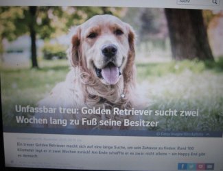 1Unbenannt - Kopie.JPG