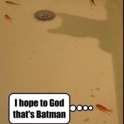 20C01C21-9015-4F2E-8FA6-C763F7A1FF82.jpeg