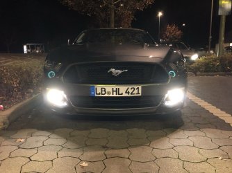 1E7B56C9-04F0-426C-82C4-F698DCDBF161.jpeg