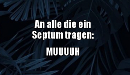 1604705790115.png