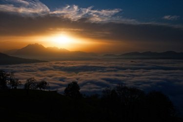 DSCF0431.jpg