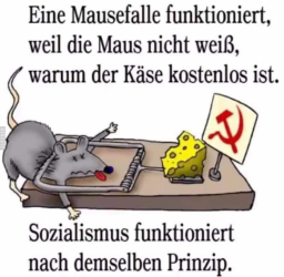1605173975044.png